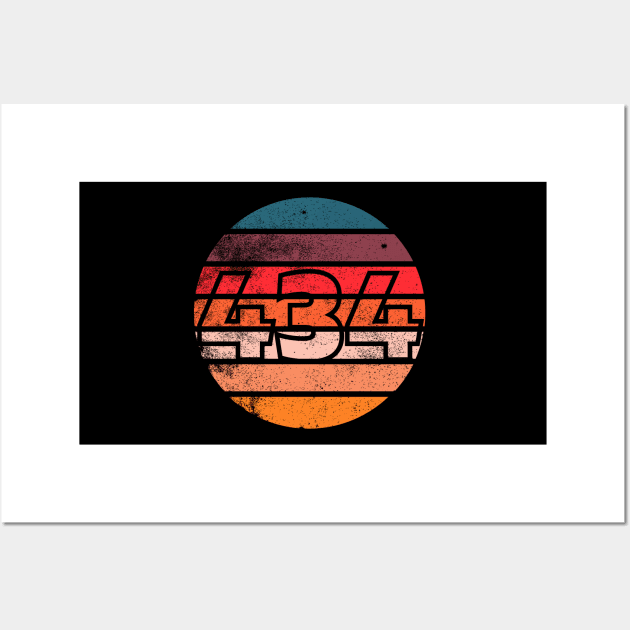 Vintage Sunset 434 Area Code T-Shirt Wall Art by MinimalSpace